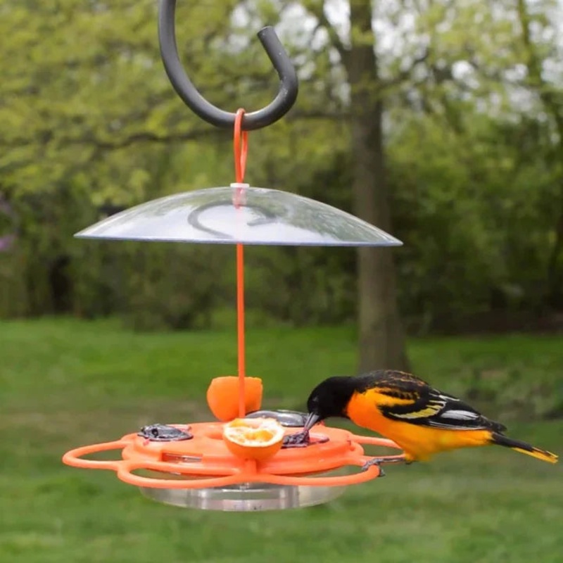 Nature’s Way All-In-One Oriole Buffet Feeder