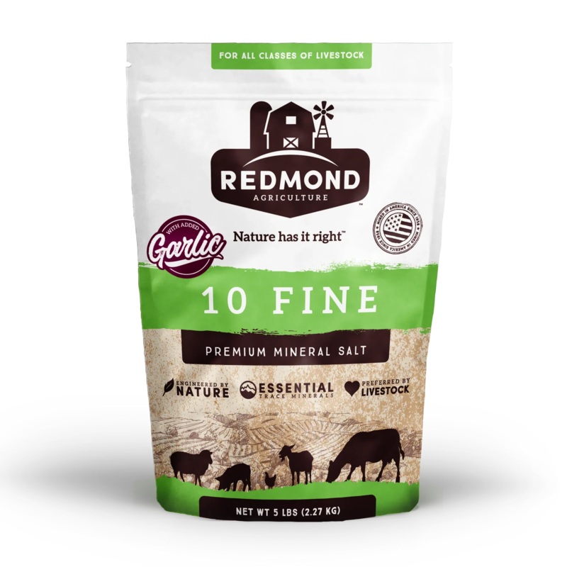 Redmond Mineral Salt 10 Fine with Garlic