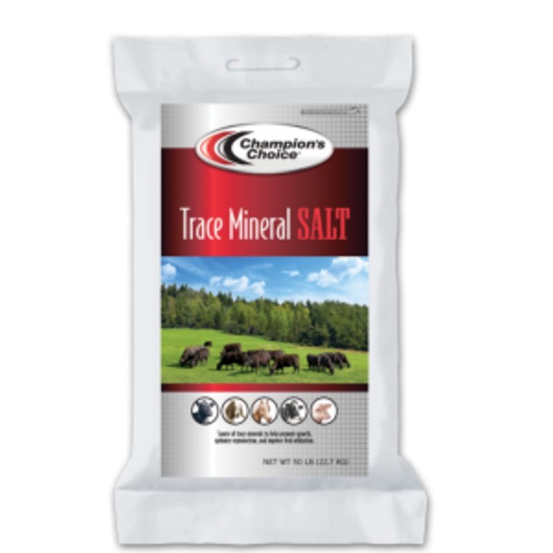 Trace Mineral Salt