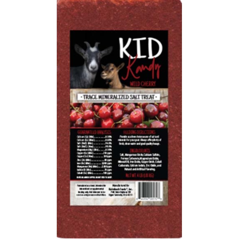 Kalmbach Kid Kandy