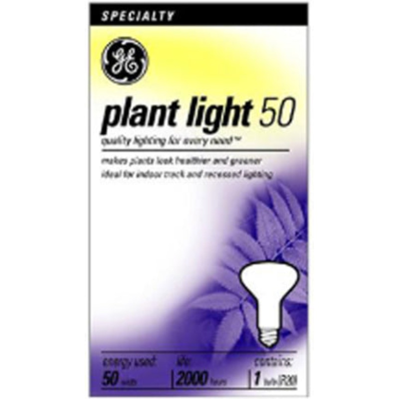 50W Med Soft White R20 Floodlight
