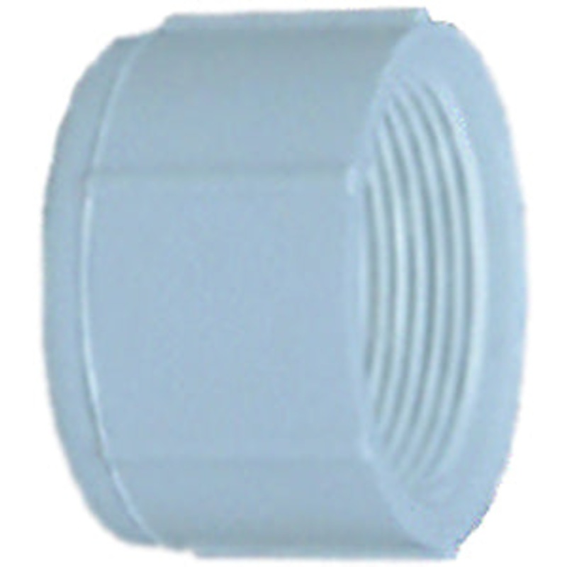 CAP 2IN FIP PVC