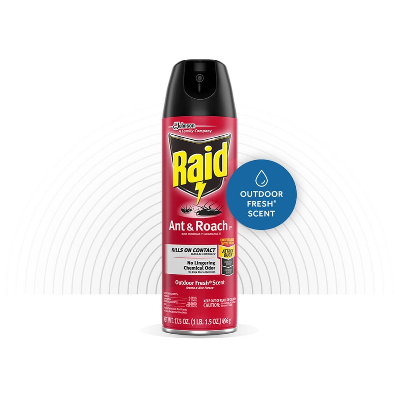 Raid  Ant & Roach Killer 26 17.5 Oz