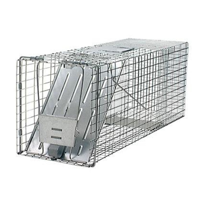 Havahart Large 1-Door Trap