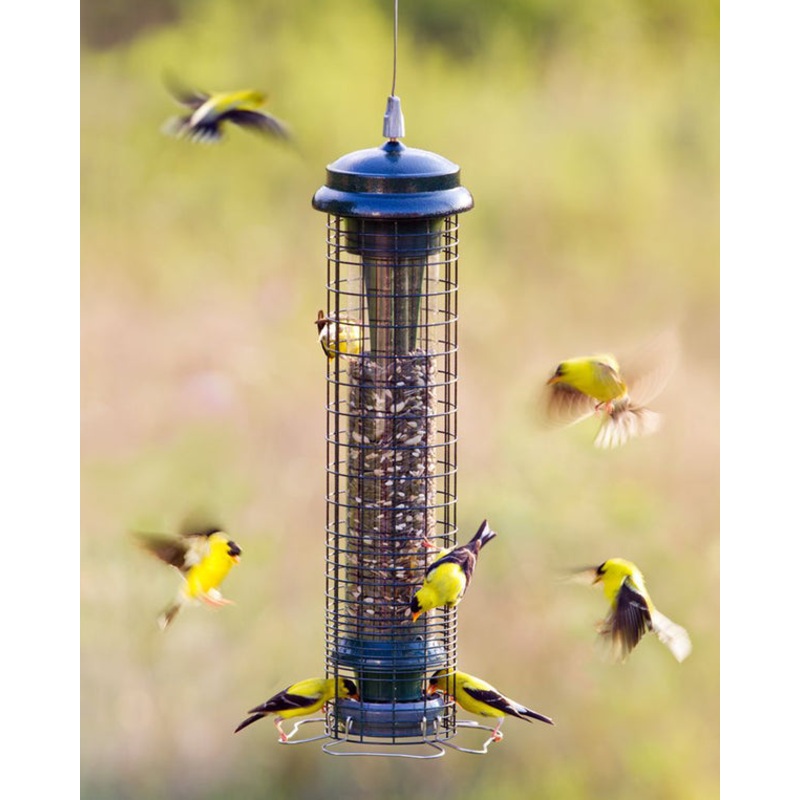 Brome Squirrel Solution 150 Tube Bird Feeder