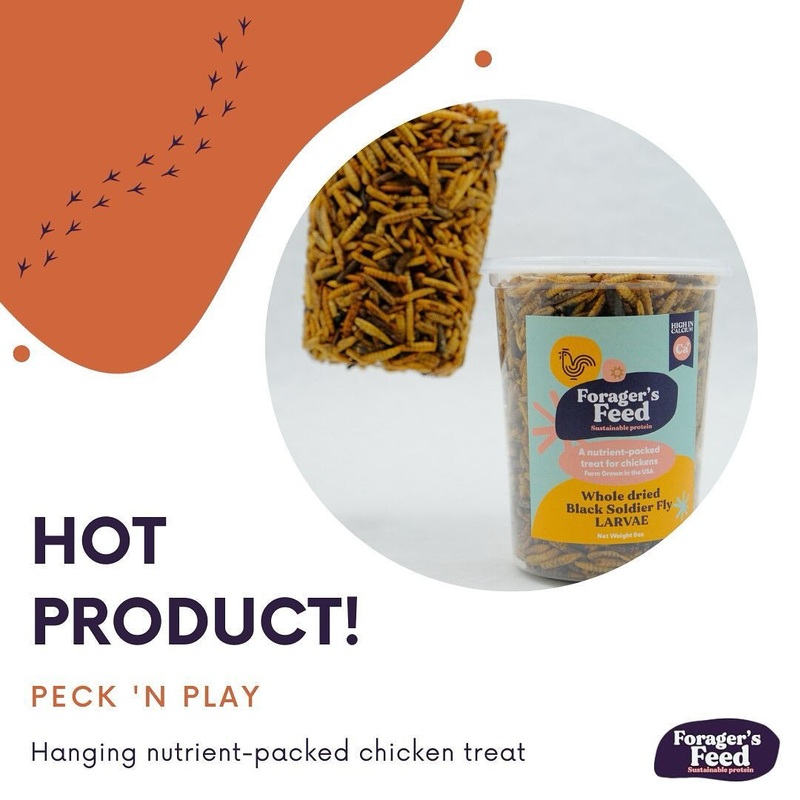 Forager’s Feed Black Soldier Fly Larvae Cake Play Cup