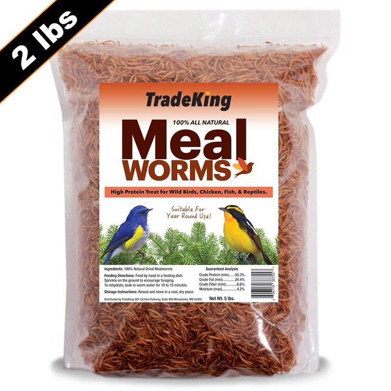 TradeKing Dried Mealworms|5 Lbs|1 Lb