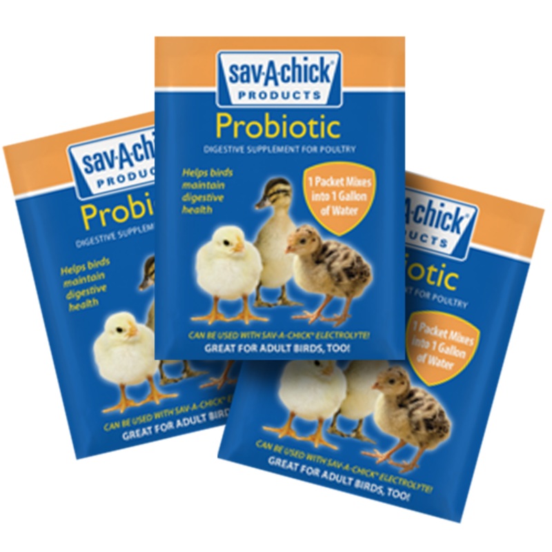 Sav-A-Chick Probiotic Supplement