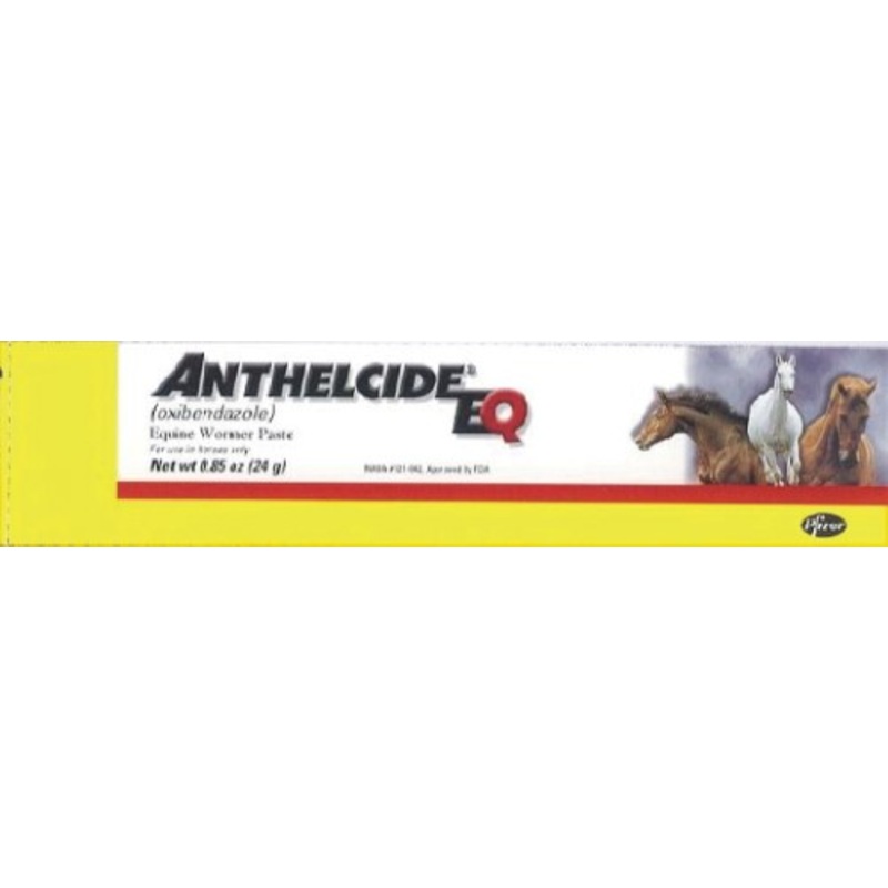 ZOETIS ANTHELCIDEEQ PASTE