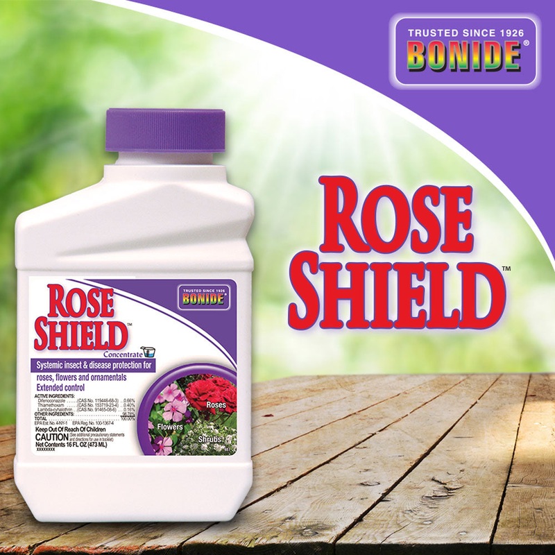 BONIDE Products LLC Rose Shield Conc