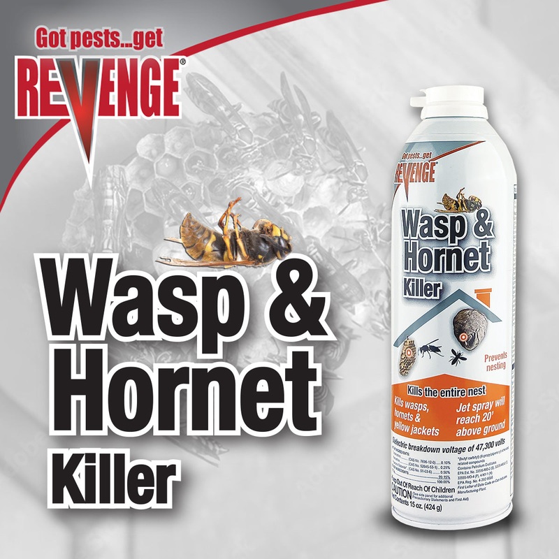 Bonide REVENGE Wasp & Hornet Aerosol 15 oz.
