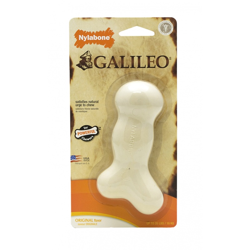 Nylabone Galileo Chew Bone Dog Toy