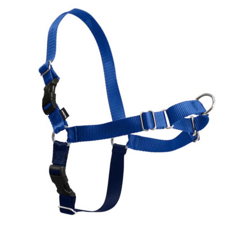 PetSafe Easy Walk Royal Blue & Navy Dog Harness