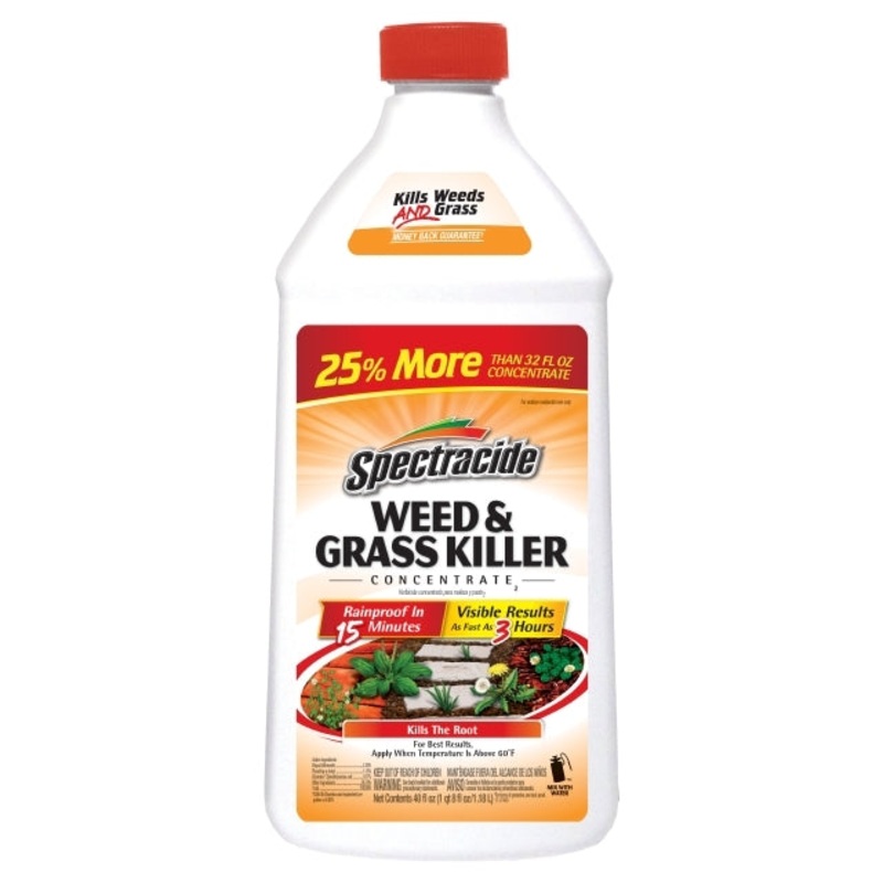 SPECTRACIDE WEED & GRASS KILLER CONCENTRATE2