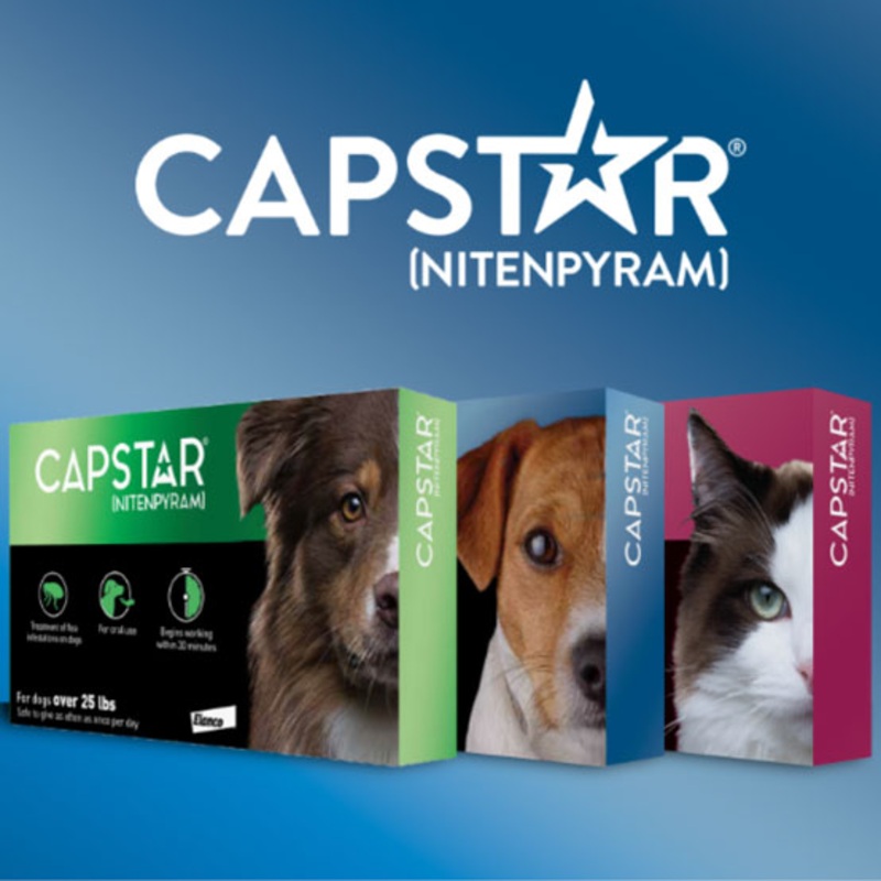 Capstar for Dogs & Cats|2-25 Lb.|>25 Lb.