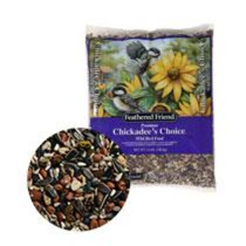 Chickadee’s Choice