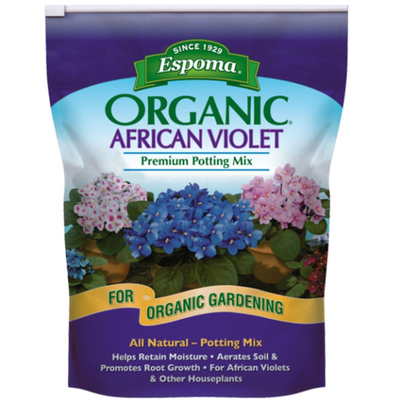African Violet Mix