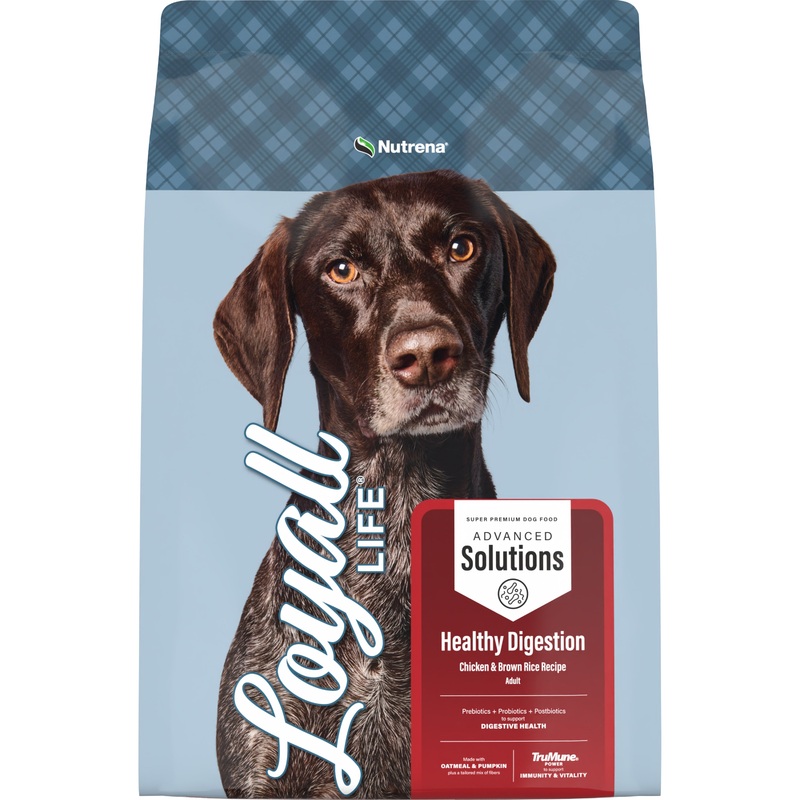 Loyall Life Advanced Solutions Healthy Digestion Chicken & Rice Recipe Adult Dog Food