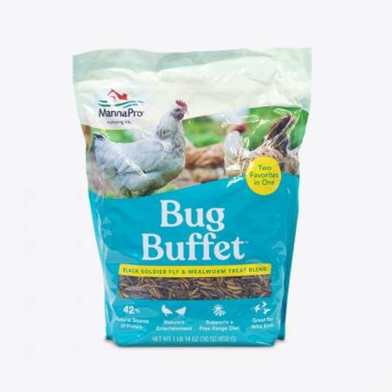 Manna Pro Bug Buffet Treats for Chickens 30 oz