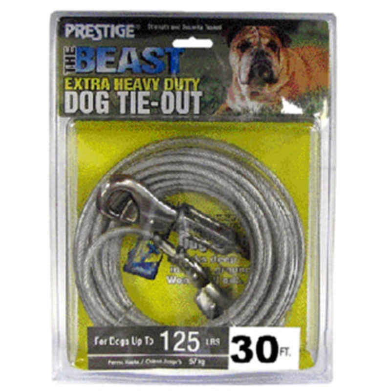XL TIE OUT  CABLE 30FT