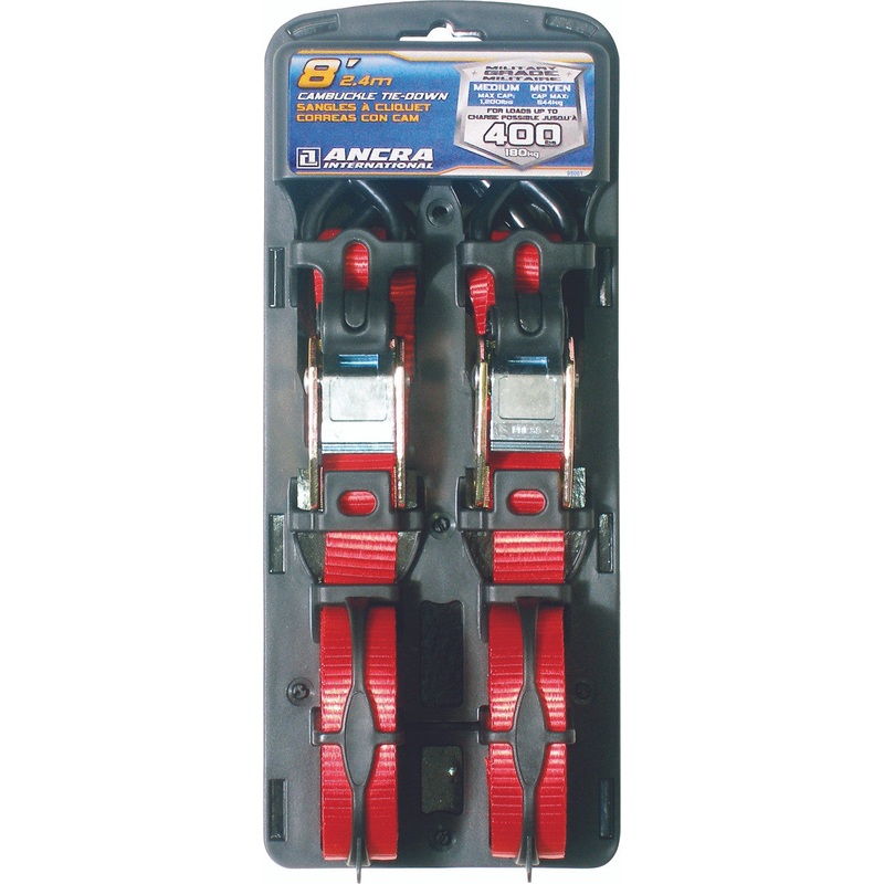 S-Line Cam Buckle Tie-Down 2 Pack 1 x 8