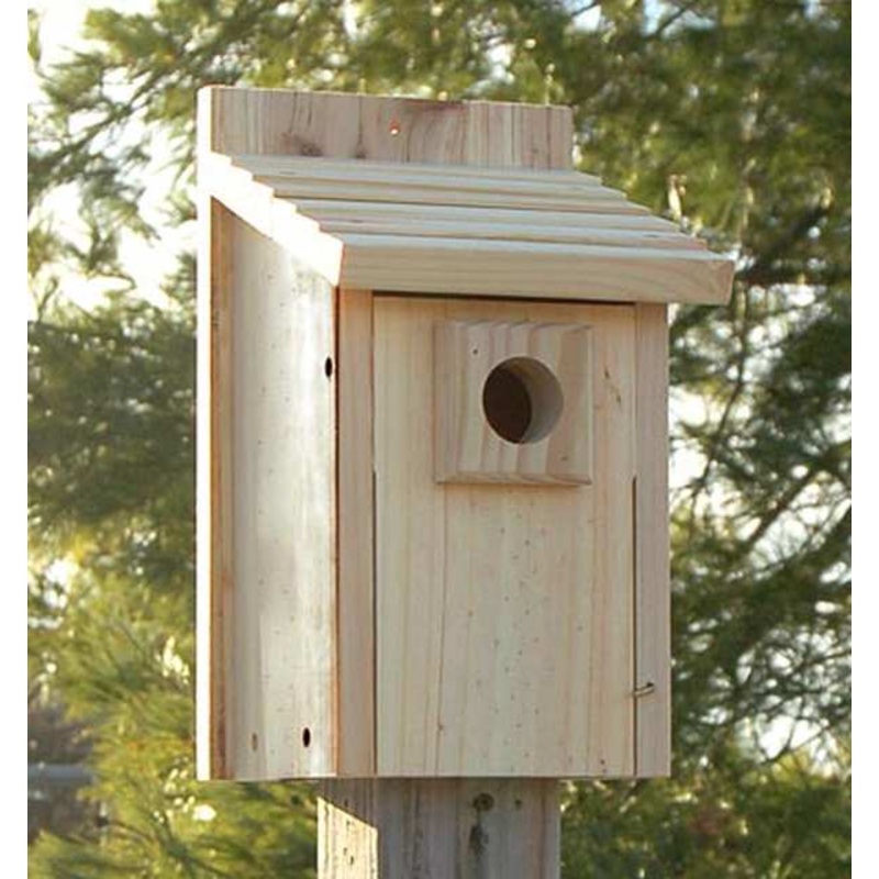 Stokes Select Wren and Chickadee Nesting Bird House, Natural Wood