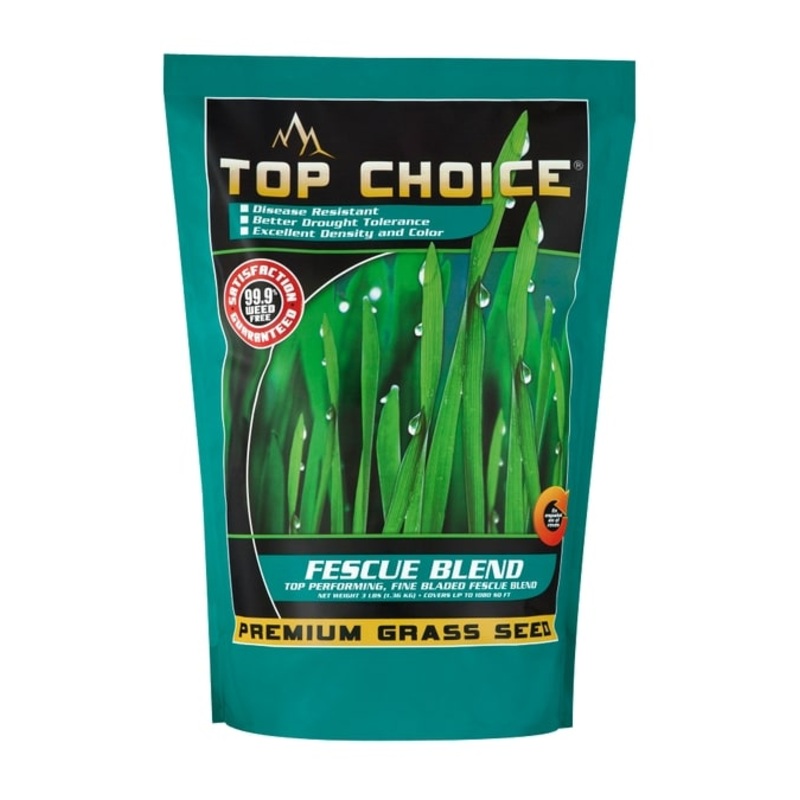Mountain View Seeds 10 lbs Fescue Blend Grass Seed
