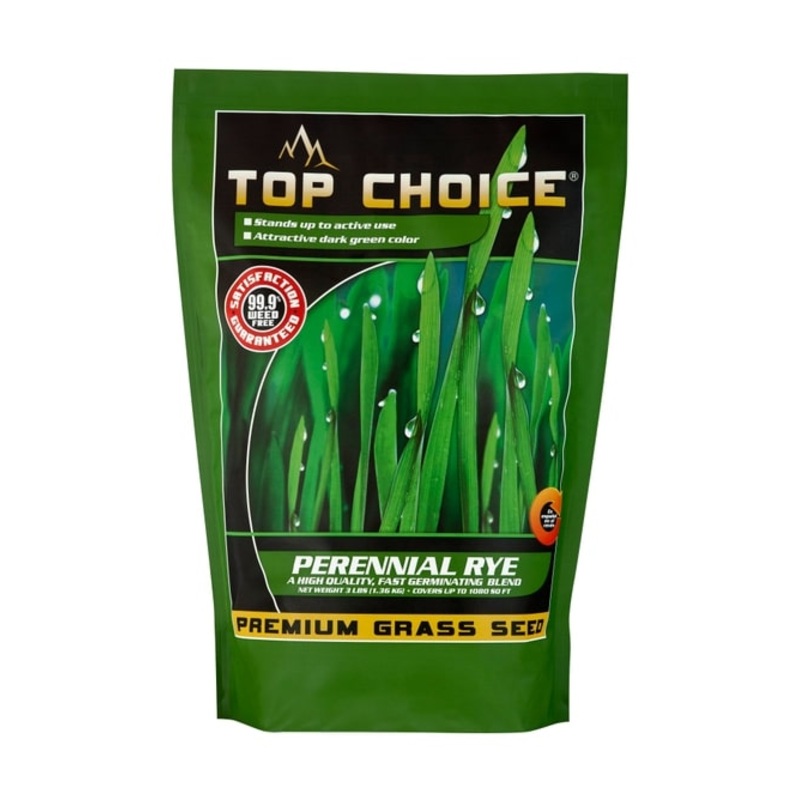 Mountain View Seeds Top Choice Perennial Rye Grass Seed, 10-Pound