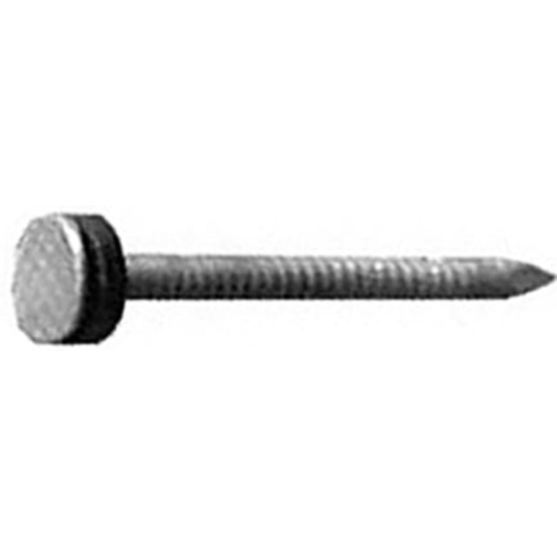 1-3/4  HG NEO  ROOFING NAILS 5LB/BOX