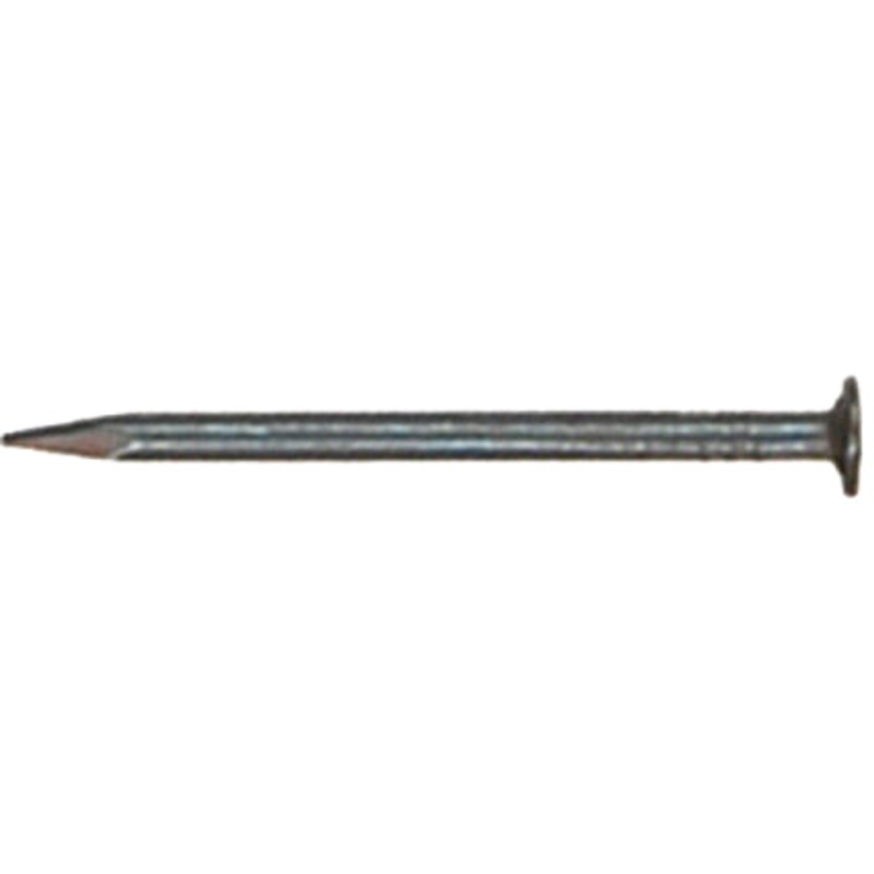NAIL 1-1/4 EG ROOF 1 LB