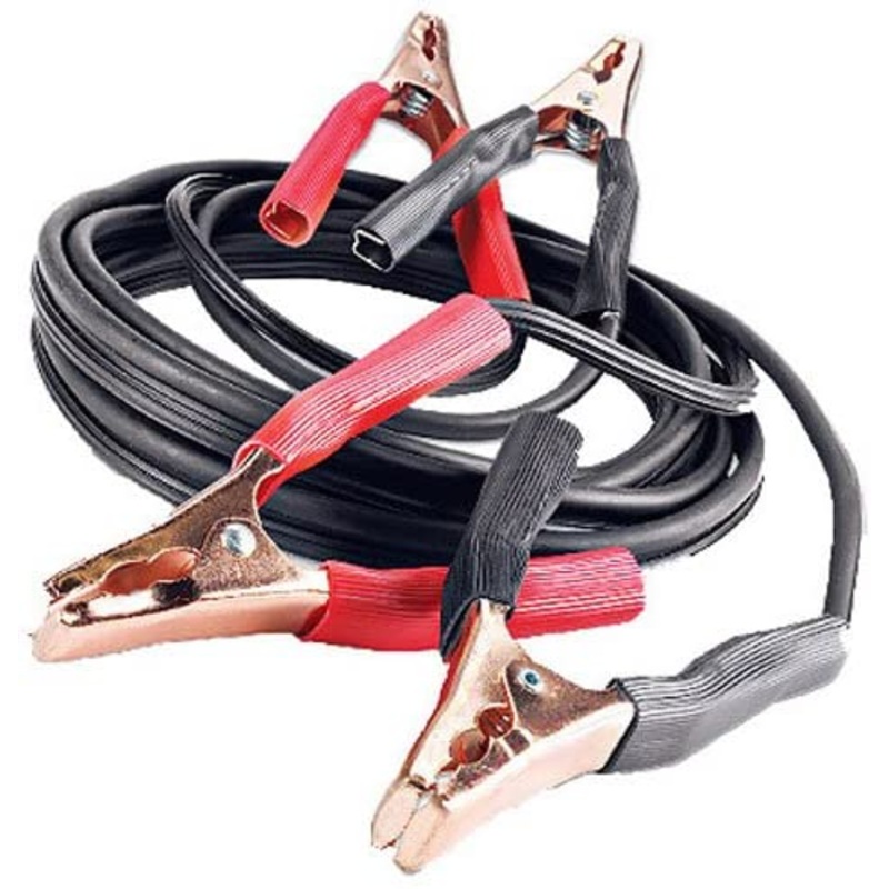 Coleman Cable Systems 12-Feet Light-Duty Booster Cables, 10-Gauge