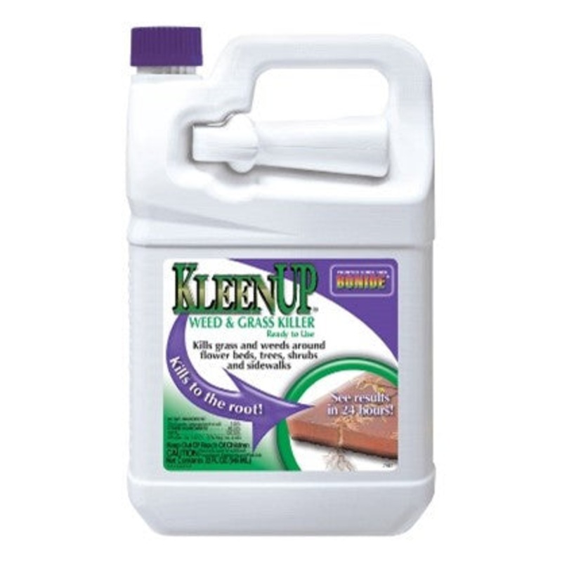 KLEENUP HE 32 OZ RTU