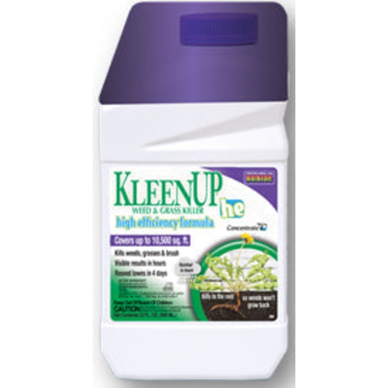 KLEENUP HE GAL CONC