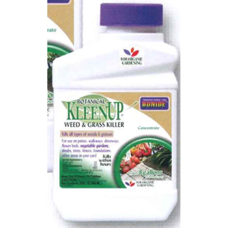 KLEENUP PT CONC BOTANICAL