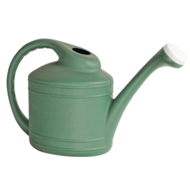 The Ames Watering Can Fern