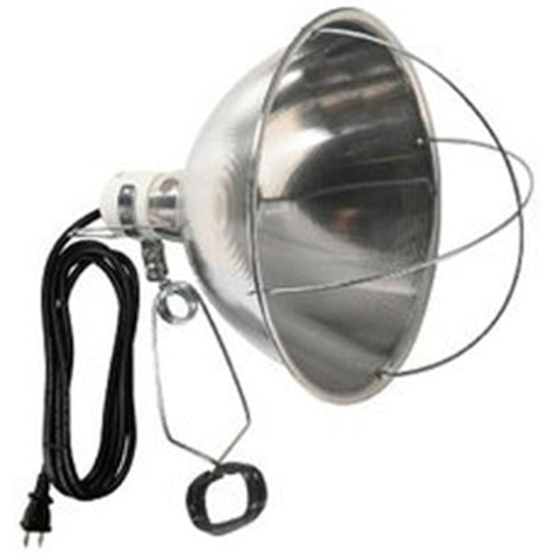 BROODER LIGHT 10 INCAND 8  CORD 250 WATT