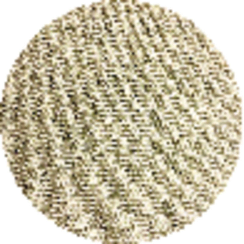 Diablo SandNet 5 In. 180 Grit Sanding Disc with Connection Pad (10-Pack)
